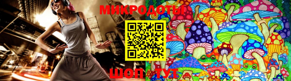 Галлюциногенные грибы Psilocybine cubensis  Вход с VPN  Тавда 